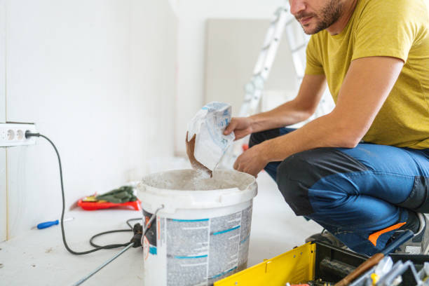 Reliable Urbana, IL Mold Removal Solutions