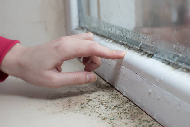 Best Airborne Mold Testing  in Urbana, IL