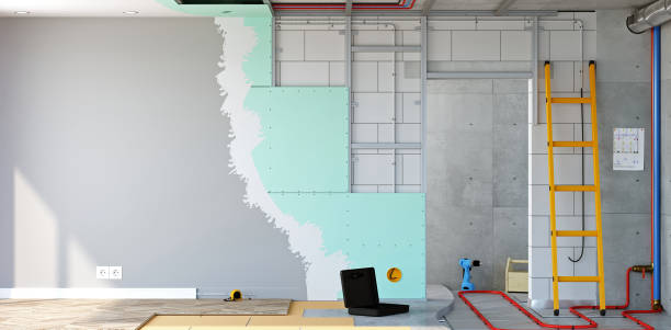 Best Basement Mold Removal  in Urbana, IL