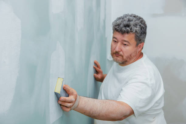 Best Post-Construction Mold Inspection  in Urbana, IL