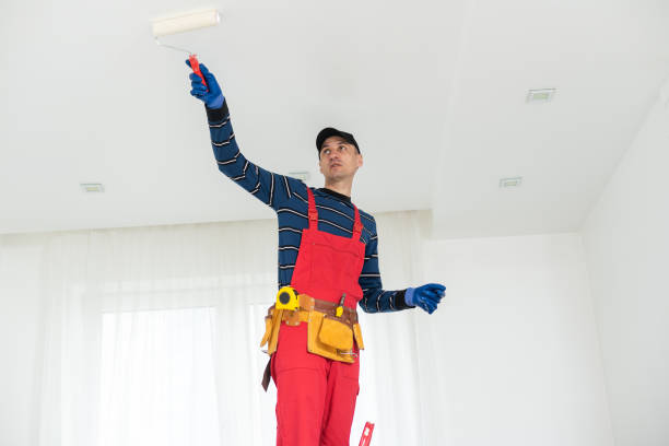 Best Water Damage & Mold Remediation  in Urbana, IL