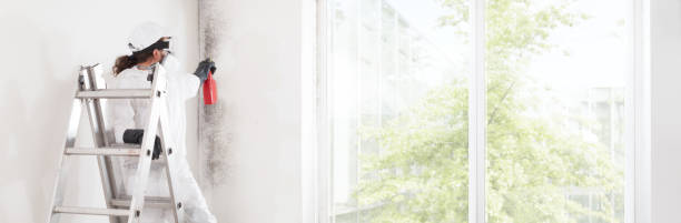 Best Forensic Mold Investigation  in Urbana, IL