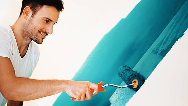Best Mold Prevention Services  in Urbana, IL